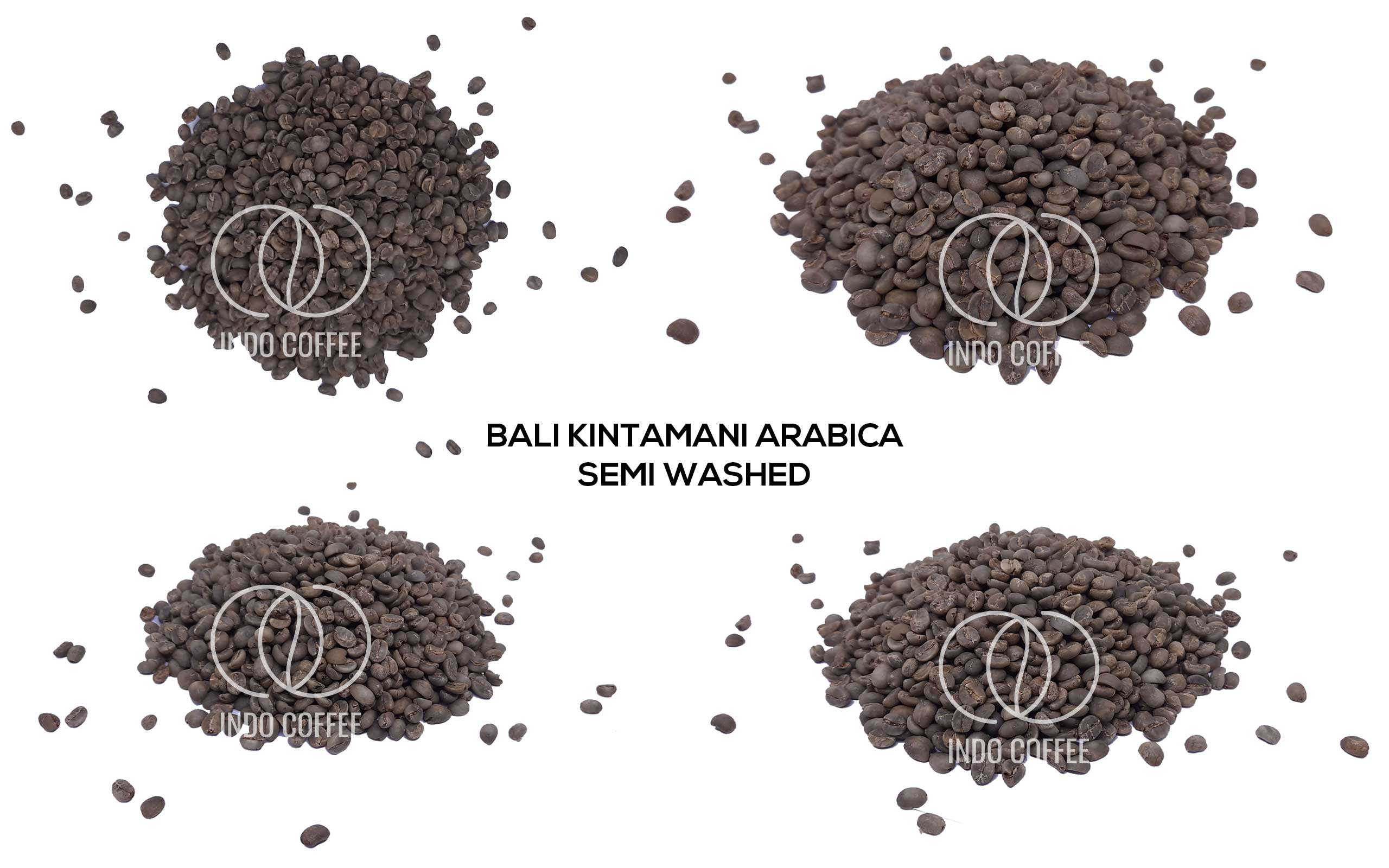 Coffee | AGRIO COFFEE | Best Coffee Beans Supplier Indonesia