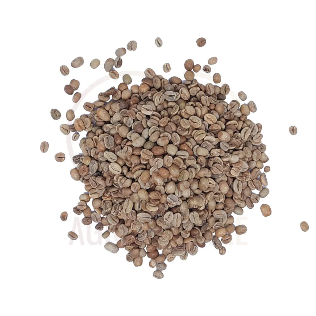 arabica coffee beans bali kintamani natural