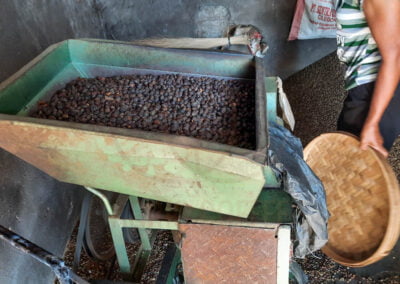 coffee beans indonesia 12