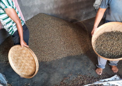 coffee beans indonesia 13