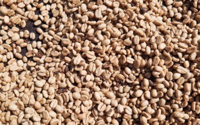 The Unique Fusion of Wine and Coffee Beans: Unveiling the Exquisite Blend