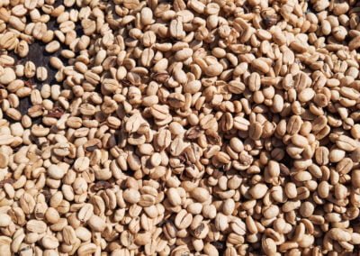 wine and coffee beans