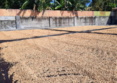 coffee beans indonesia 4