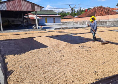 coffee beans indonesia 5