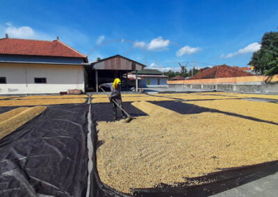 coffee beans indonesia 6