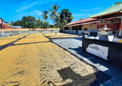 coffee beans indonesia 7