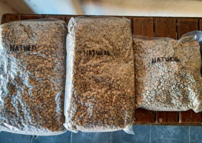 green coffee beans indonesia 1