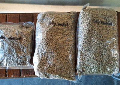 green coffee beans indonesia 2