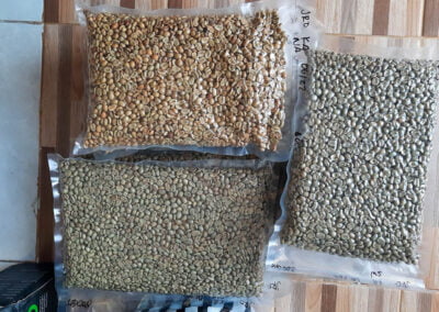 green coffee beans indonesia 5