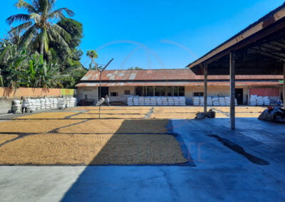 indonesia arabica coffee beans 1