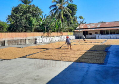 indonesia arabica coffee beans 4