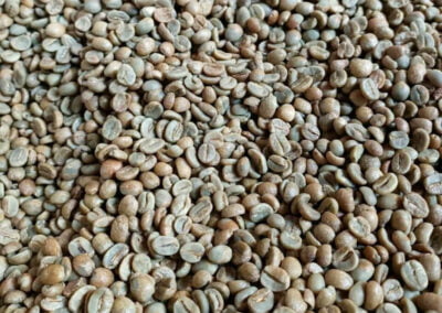 indonesia coffee beans 12