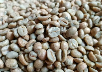 indonesia coffee beans 13