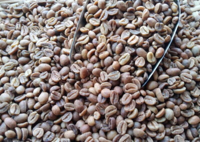 indonesia coffee beans 14