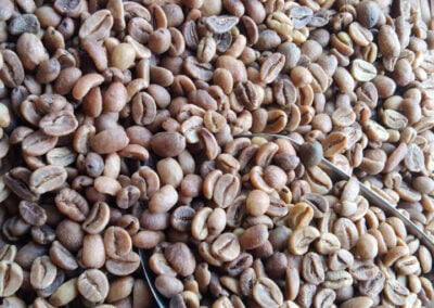 indonesia coffee beans 15