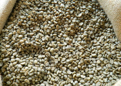 indonesia coffee beans 3