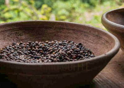 indonesia coffee beans 6