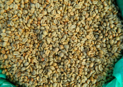 indonesia coffee beans 7