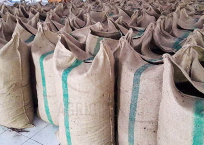 indonesia coffee beans supplier 2