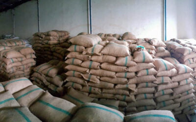 Indonesia Coffee Beans Supplier and Exporter
