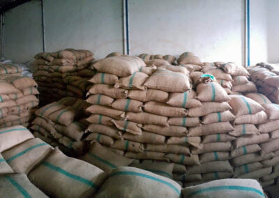 coffee beans supplier