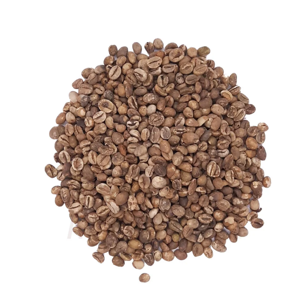 robusta coffee beans indonesia grade 2