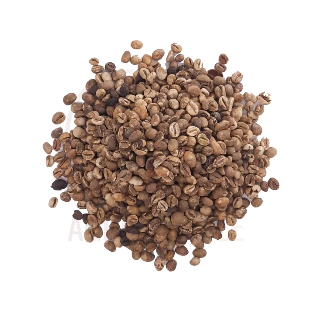robusta coffee beans indonesia grade 3